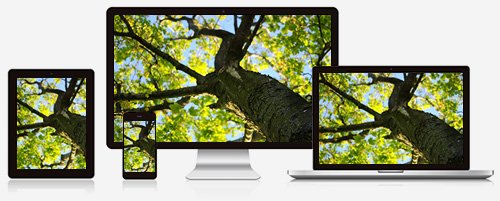 台中網頁設計公司